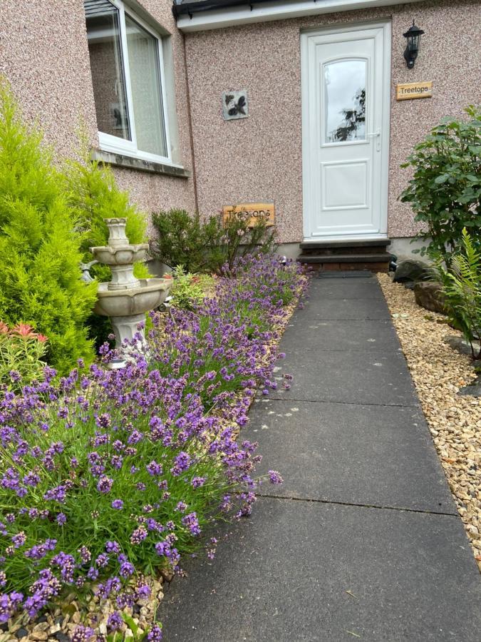 Treetops Bungalow Loch Ness Drumnadrochit Exteriör bild