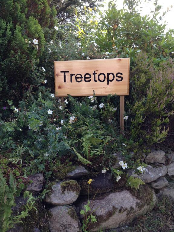 Treetops Bungalow Loch Ness Drumnadrochit Rum bild
