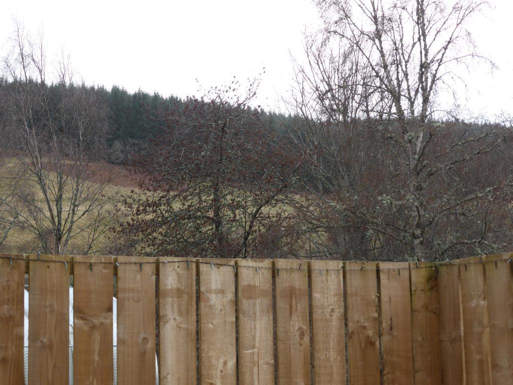 Treetops Bungalow Loch Ness Drumnadrochit Exteriör bild